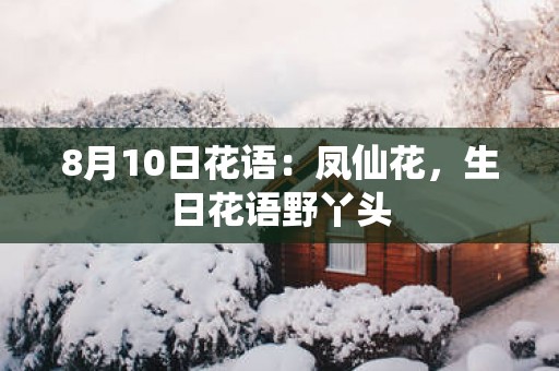 8月10日花语：凤仙花，生日花语野丫头