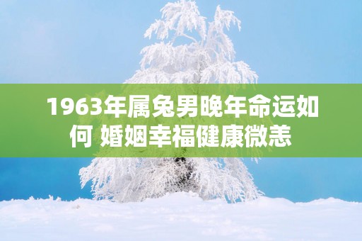 1963年属兔男晚年命运如何 婚姻幸福健康微恙