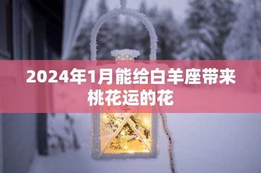 2025年1月能给白羊座带来桃花运的花