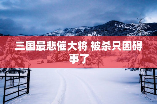 三国最悲催大将 被杀只因碍事了