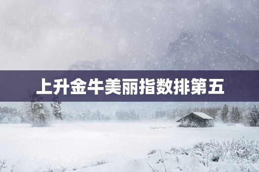 上升金牛美丽指数排第五
