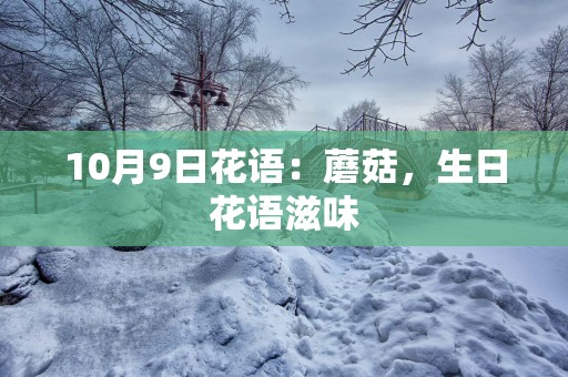 10月9日花语：蘑菇，生日花语滋味