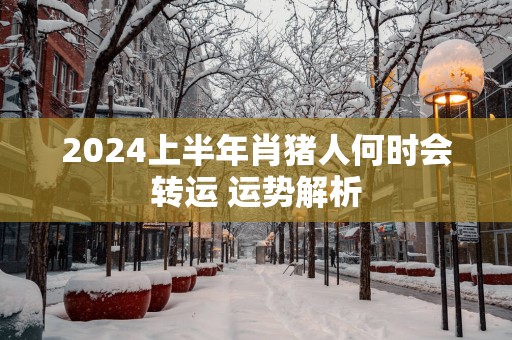 2025上半年肖猪人何时会转运 运势解析