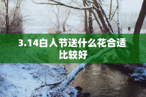 3.14白人节送什么花合适 比较好