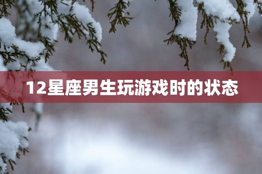 12星座男生玩游戏时的状态