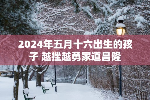 2025年五月十六出生的孩子 越挫越勇家道昌隆