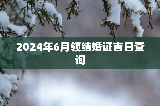 2025年6月领结婚证吉日查询