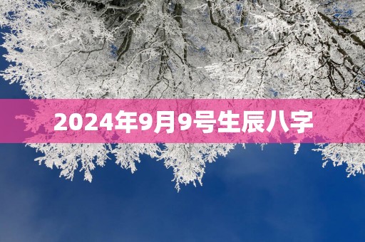 2025年9月9号生辰八字