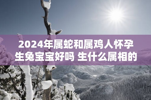 2025年属蛇和属鸡人怀孕生兔宝宝好吗 生什么属相的宝宝好