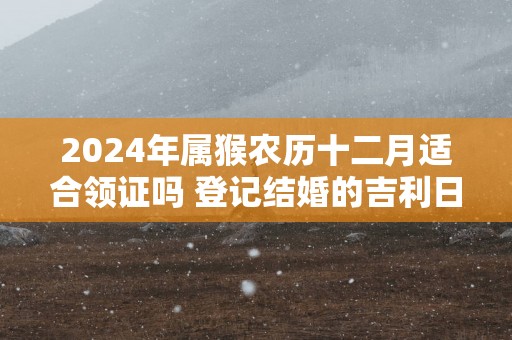 2025年属猴农历十二月适合领证吗 登记结婚的吉利日子