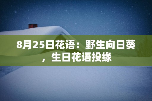 8月25日花语：野生向日葵，生日花语投缘