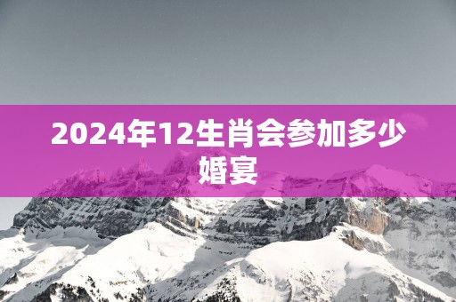 2025年12生肖会参加多少婚宴