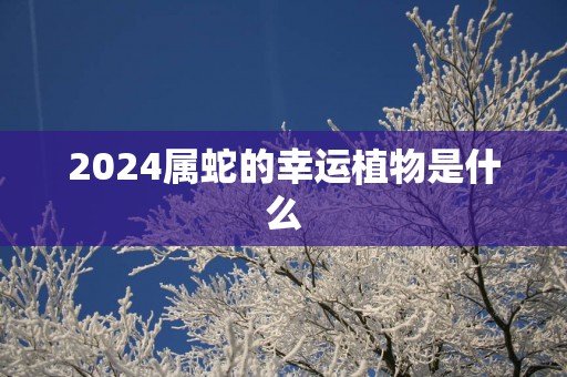2025属蛇的幸运植物是什么