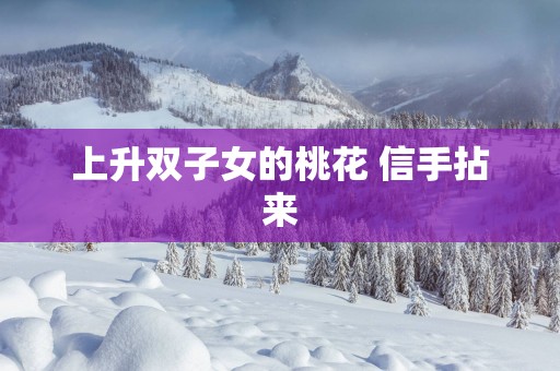 上升双子女的桃花 信手拈来