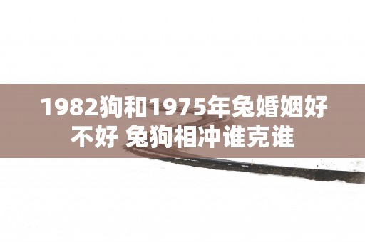 1982狗和1975年兔婚姻好不好 兔狗相冲谁克谁