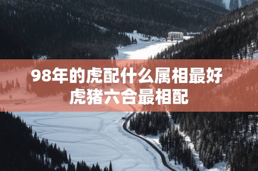 98年的虎配什么属相最好 虎猪六合最相配