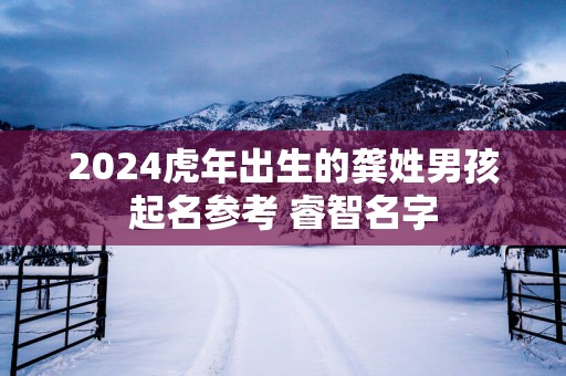 2025蛇年出生的龚姓男孩起名参考 睿智名字