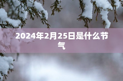 2025年2月25日是什么节气
