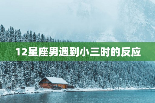 12星座男遇到小三时的反应