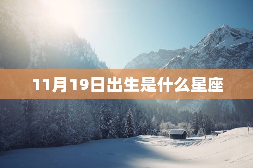 11月19日出生是什么星座