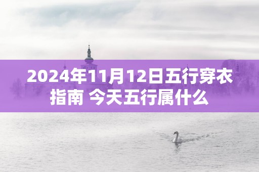 2025年11月12日五行穿衣指南 今天五行属什么
