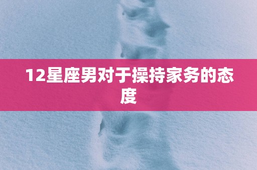 12星座男对于操持家务的态度
