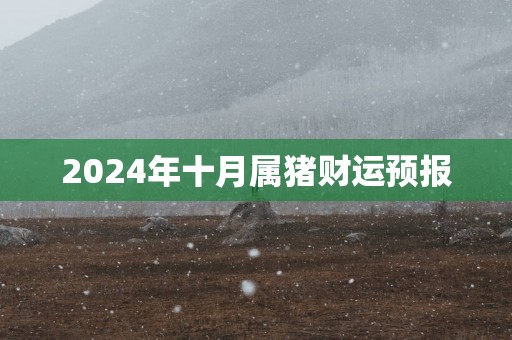 2025年十月属猪财运预报