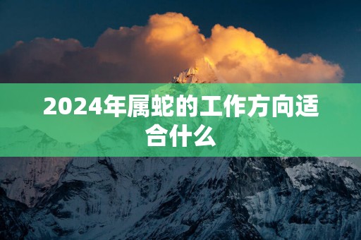 2025年属蛇的工作方向适合什么
