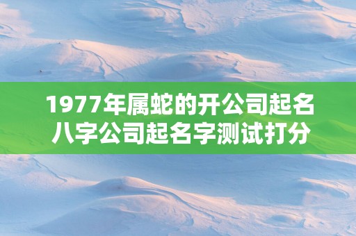 1977年属蛇的开公司起名 八字公司起名字测试打分