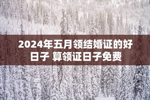 2025年五月领结婚证的好日子 算领证日子免费