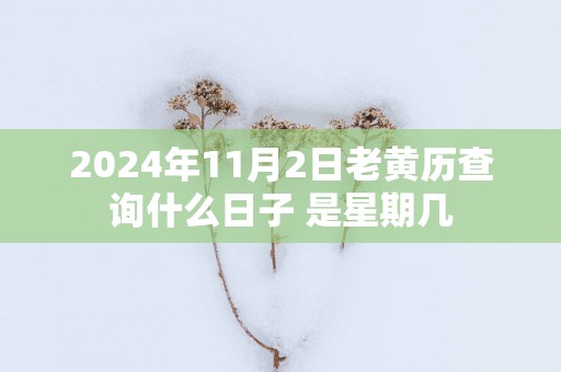 2025年11月2日老黄历查询什么日子 是星期几