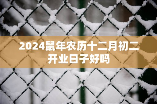 2025蛇年农历十二月初二开业日子好吗