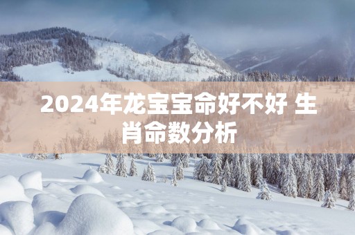 2025年龙宝宝命好不好 生肖命数分析