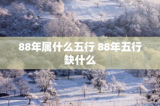 88年属什么五行 88年五行缺什么
