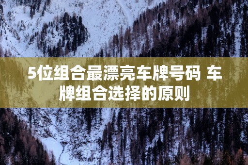 5位组合最漂亮车牌号码 车牌组合选择的原则