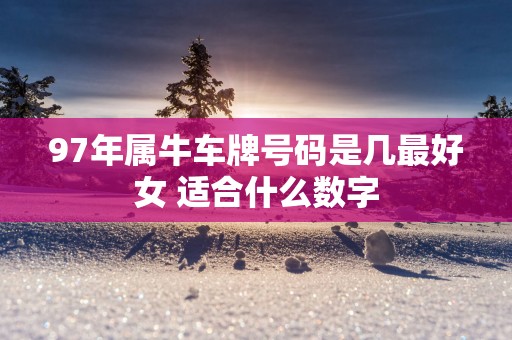 97年属牛车牌号码是几最好女 适合什么数字