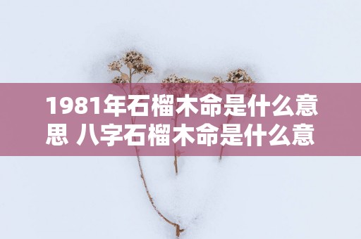 1981年石榴木命是什么意思 八字石榴木命是什么意思