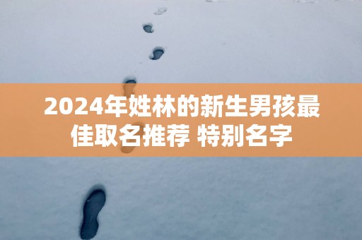 2025年姓林的新生男孩最佳取名推荐 特别名字