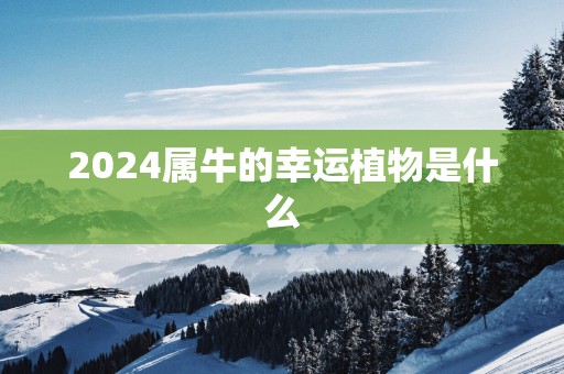 2025属牛的幸运植物是什么
