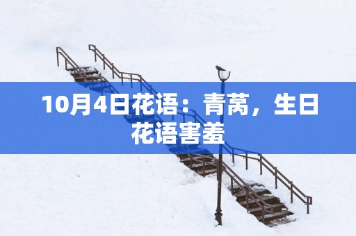 10月4日花语：青莴，生日花语害羞