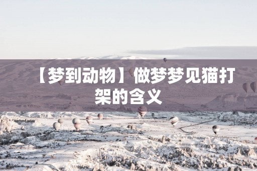 【梦到动物】做梦梦见猫打架的含义
