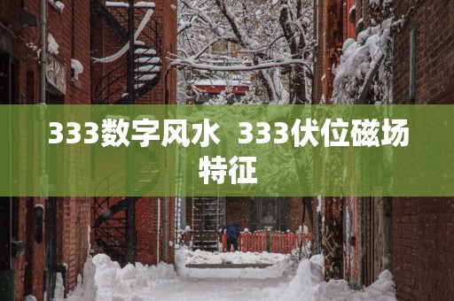 333数字风水  333伏位磁场特征