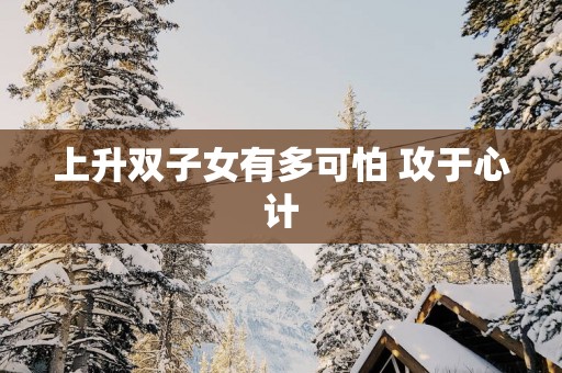 上升双子女有多可怕 攻于心计