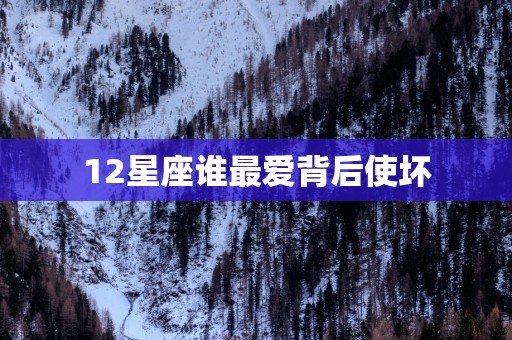 12星座谁最爱背后使坏