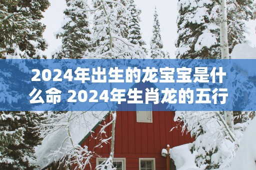2025年出生的龙宝宝是什么命 2025年生肖龙的五行解析