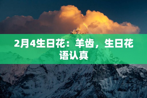 2月4生日花：羊齿，生日花语认真