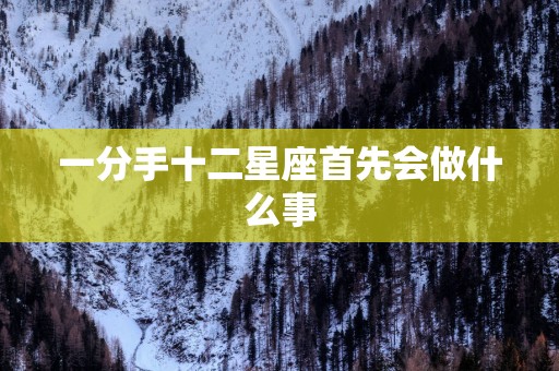 一分手十二星座首先会做什么事