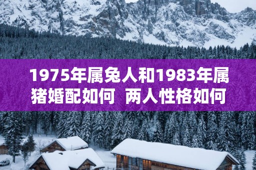 1975年属兔人和1983年属猪婚配如何  两人性格如何