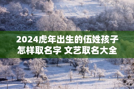2026马年出生的伍姓孩子怎样取名字 文艺取名大全