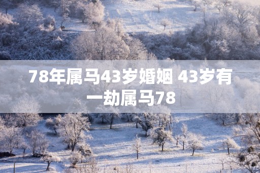 78年属马43岁婚姻 43岁有一劫属马78